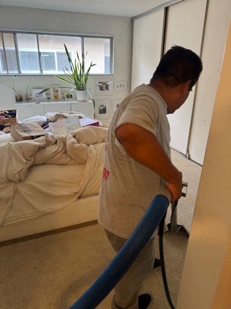 Gallery photos for Fresh and Clean Carpets in Los Angeles Home: Image #2