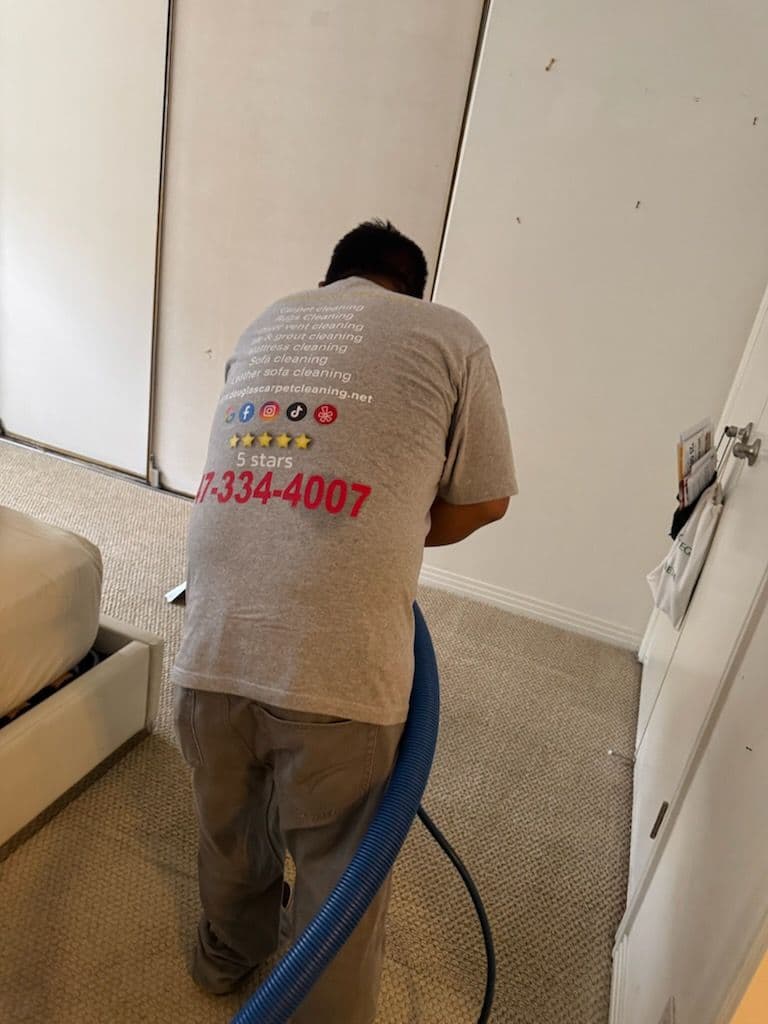 Gallery photos for Fresh and Clean Carpets in Los Angeles Home: Image #3