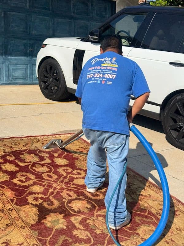 Deep Carpet Cleaning in Beverly Hills image