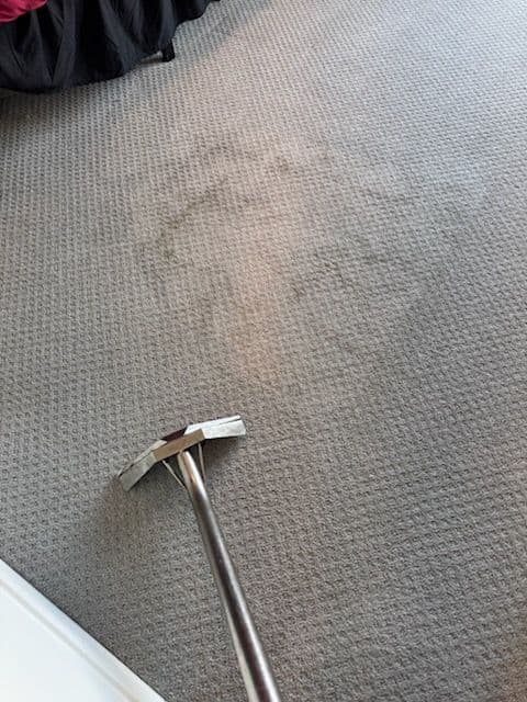 Project Spotless Carpet Cleaning in Venice image