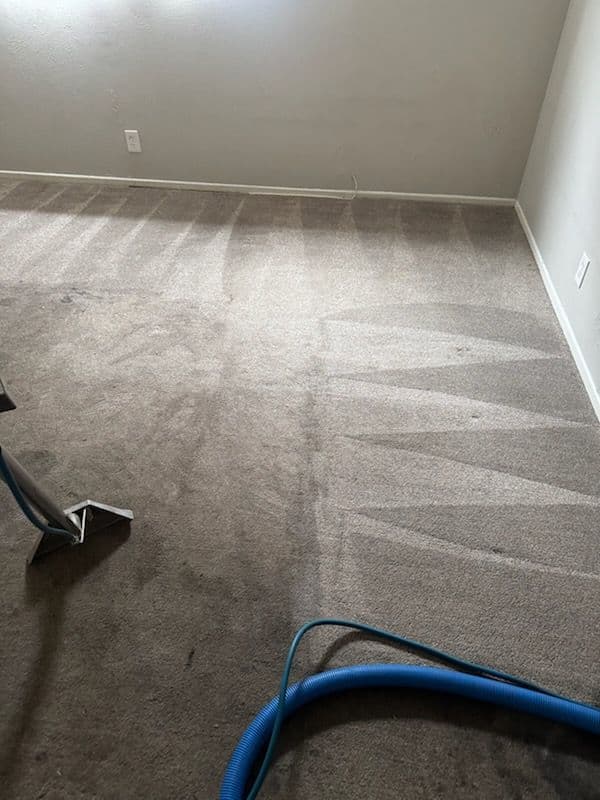Carpet Makeover in Van Nuys image