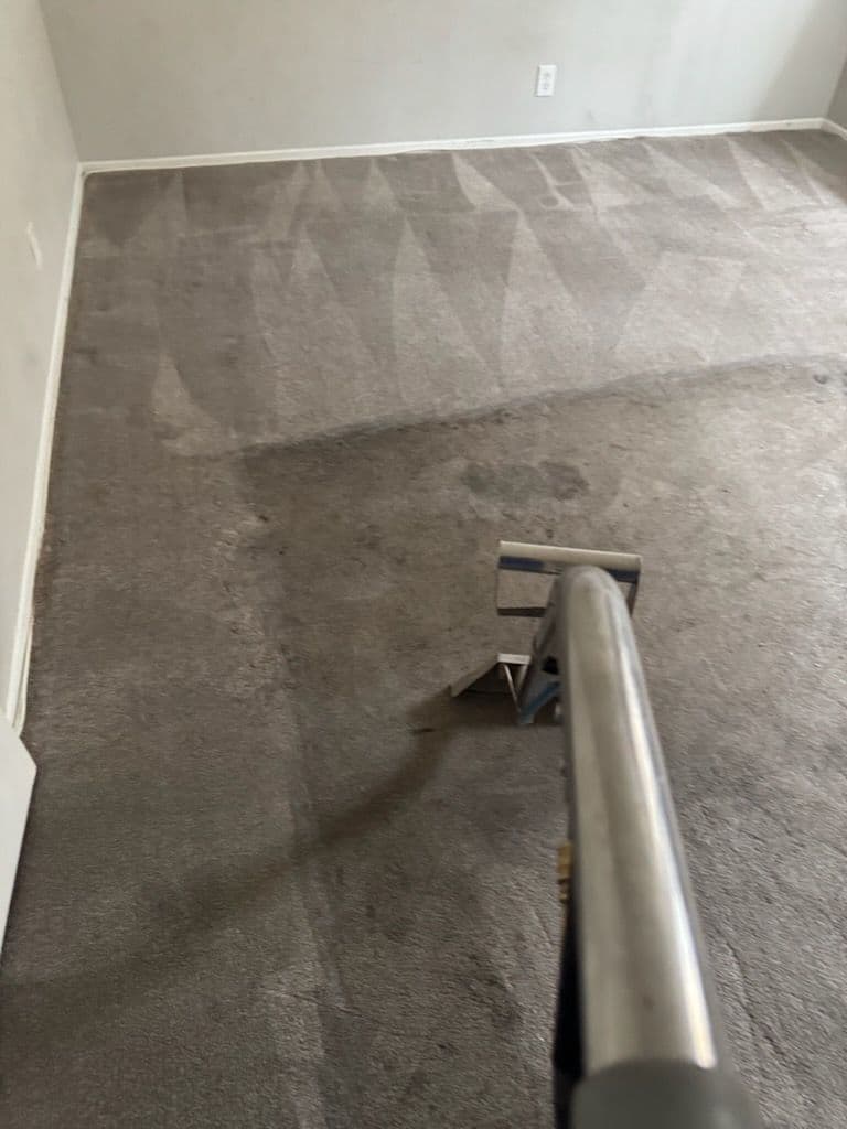 Gallery photos for Carpet Makeover in Van Nuys: Image #1