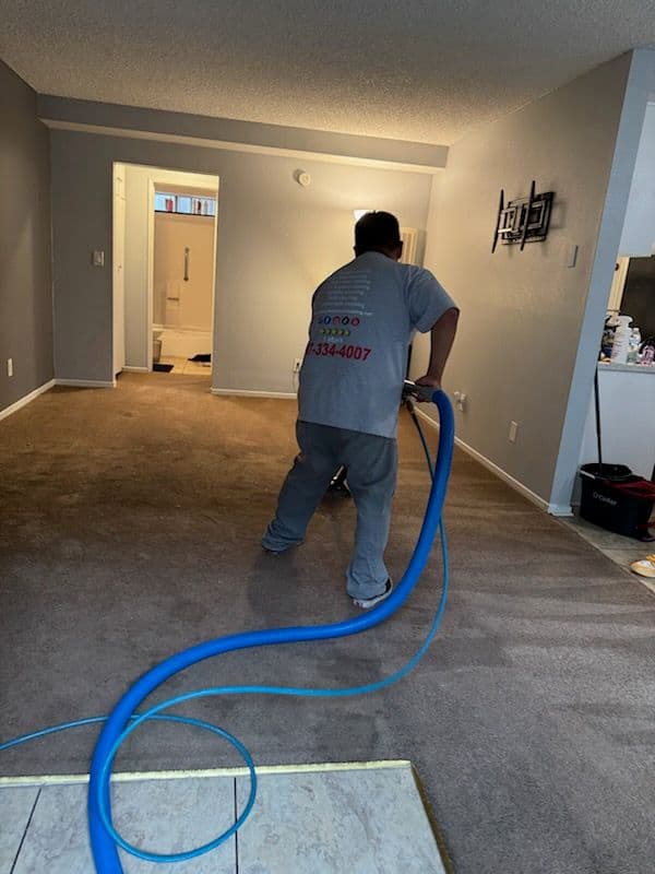 Gallery photos for Carpet Makeover in Van Nuys: Image #2