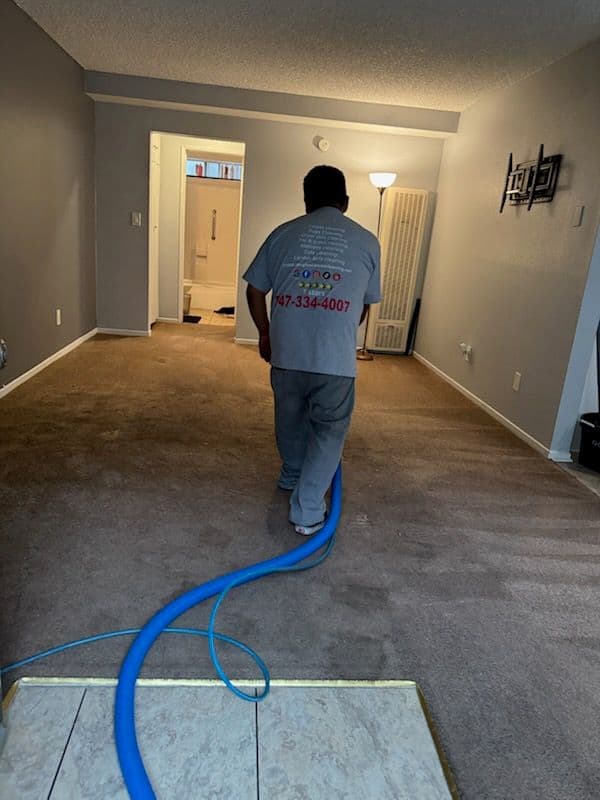 Gallery photos for Carpet Makeover in Van Nuys: Image #3