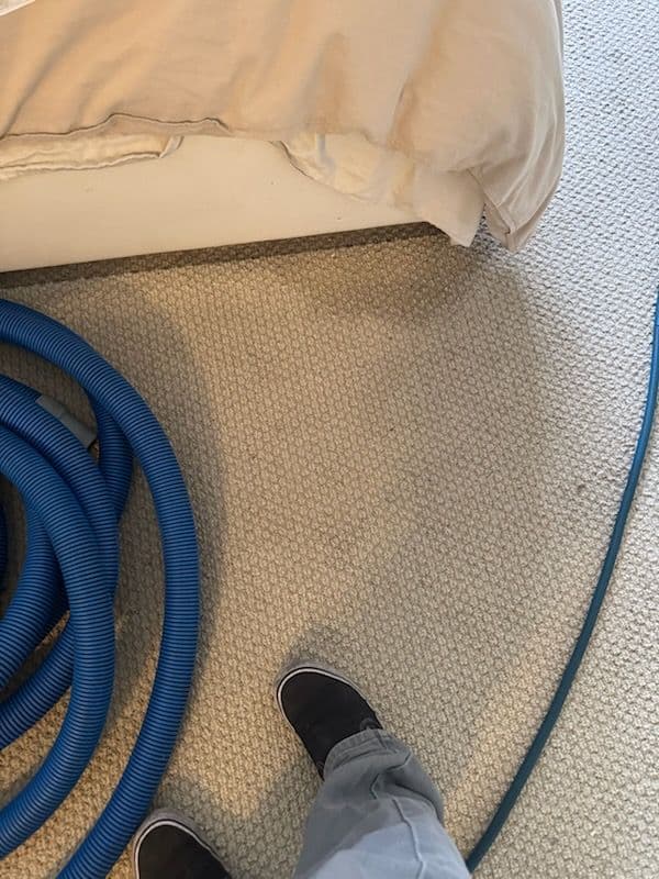 Project Carpet Cleaning Success in Los Angeles image