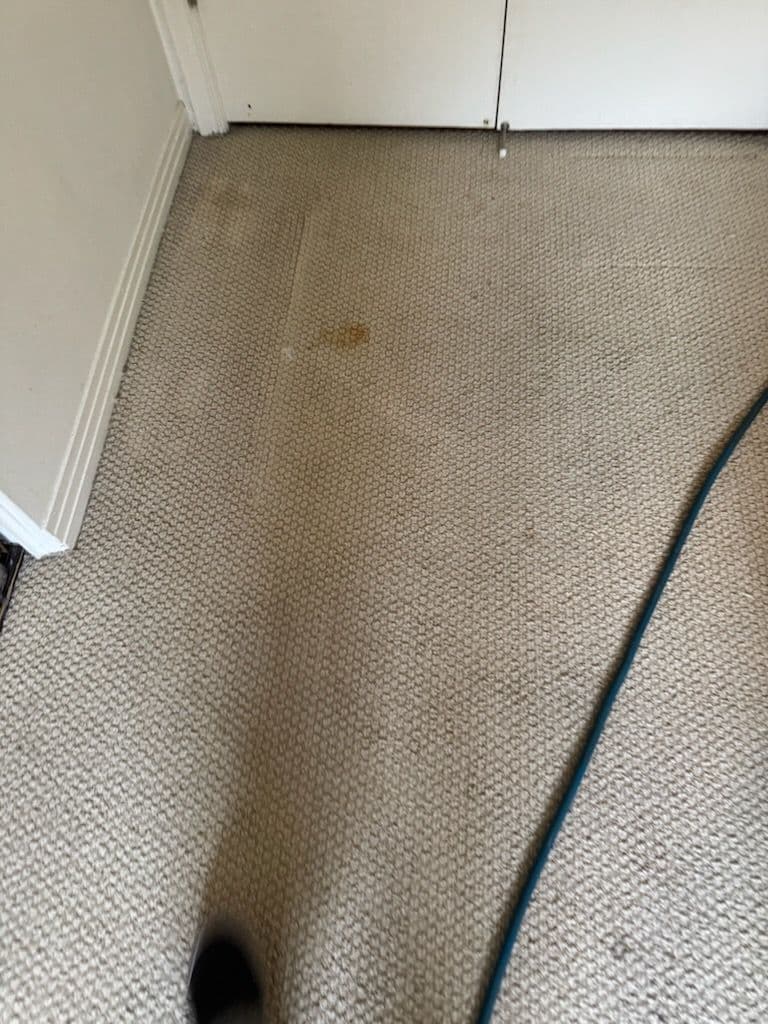 Gallery photos for Carpet Cleaning Success in Los Angeles: Image #1