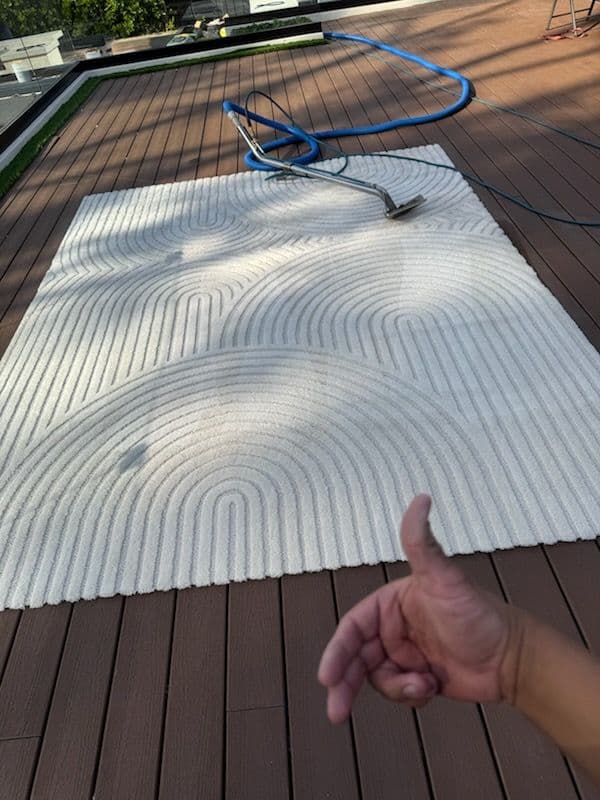 Fresh Carpet Cleaning in Venice image