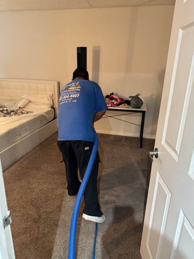 Project Carpet Cleaning Excellence in Thousand Oaks image