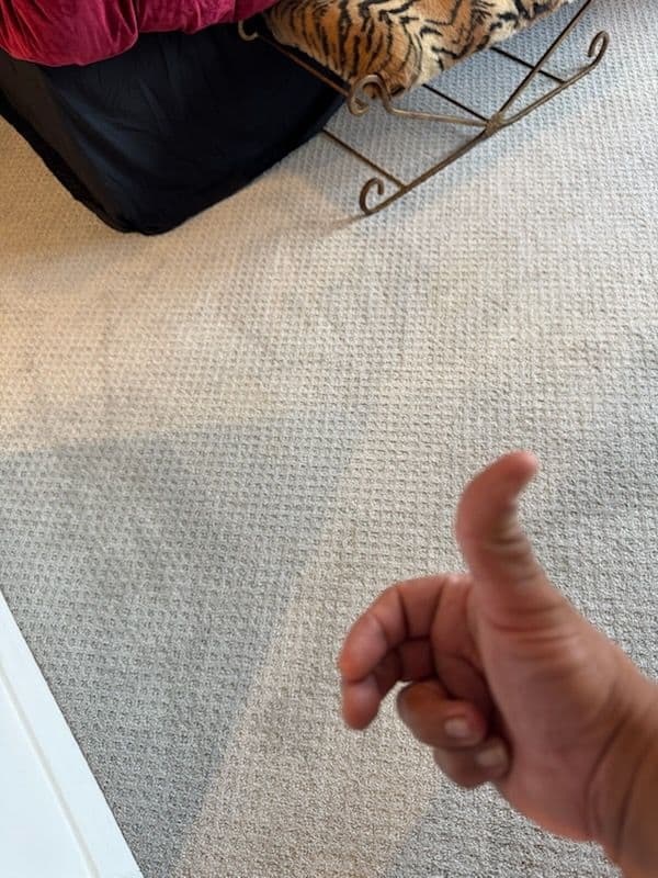 Fresh Carpet Cleaning in Marina Del Rey image