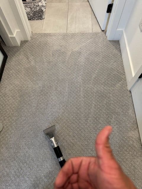Gallery photos for Fresh Carpet Cleaning in Marina Del Rey: Image #1