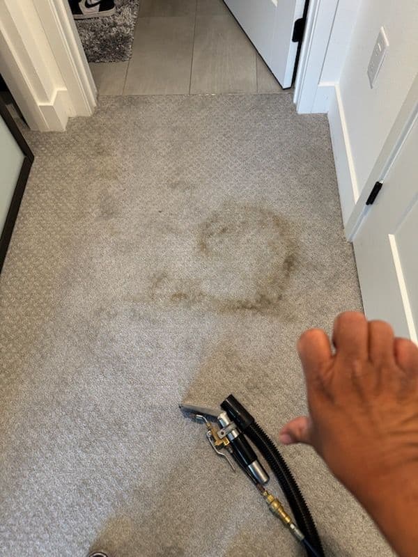 Gallery photos for Fresh Carpet Cleaning in Marina Del Rey: Image #3