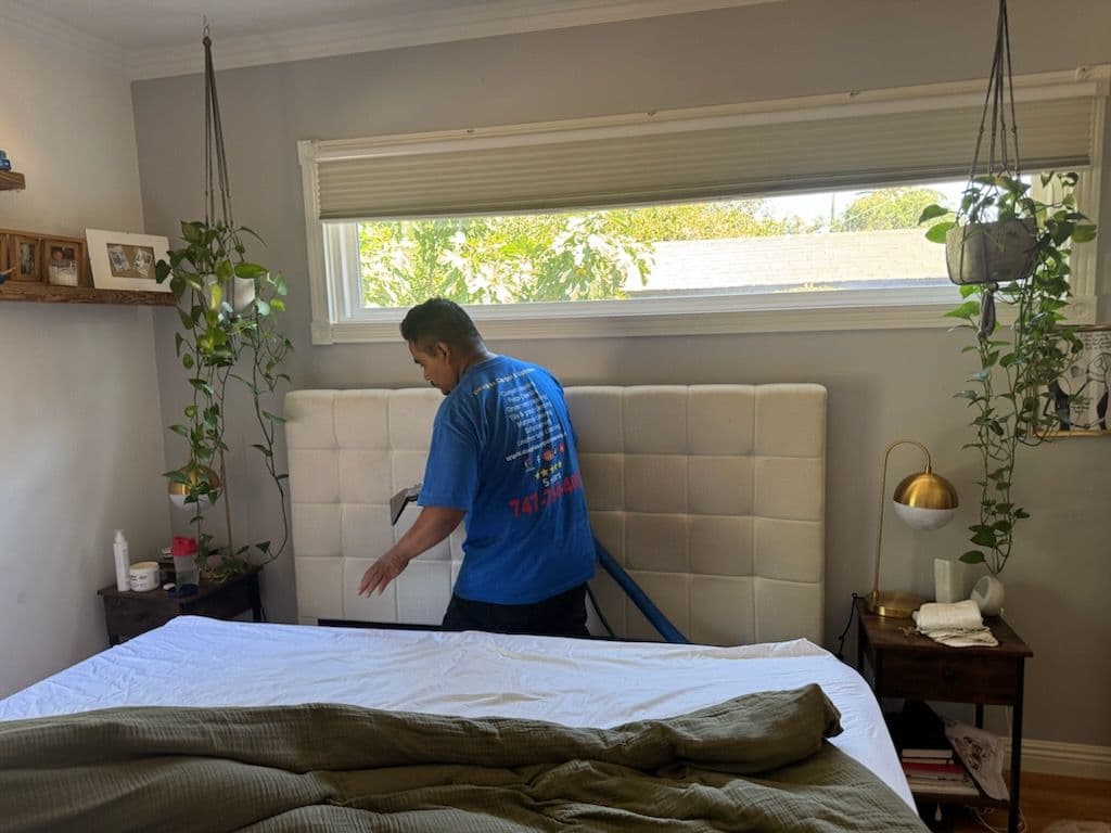 Sofa and Mattress Cleaning in Beverly Hills image