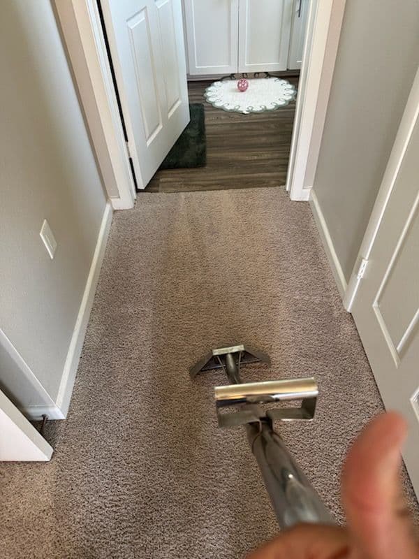 Project Carpet Cleaning Mastery in Woodland Hills image