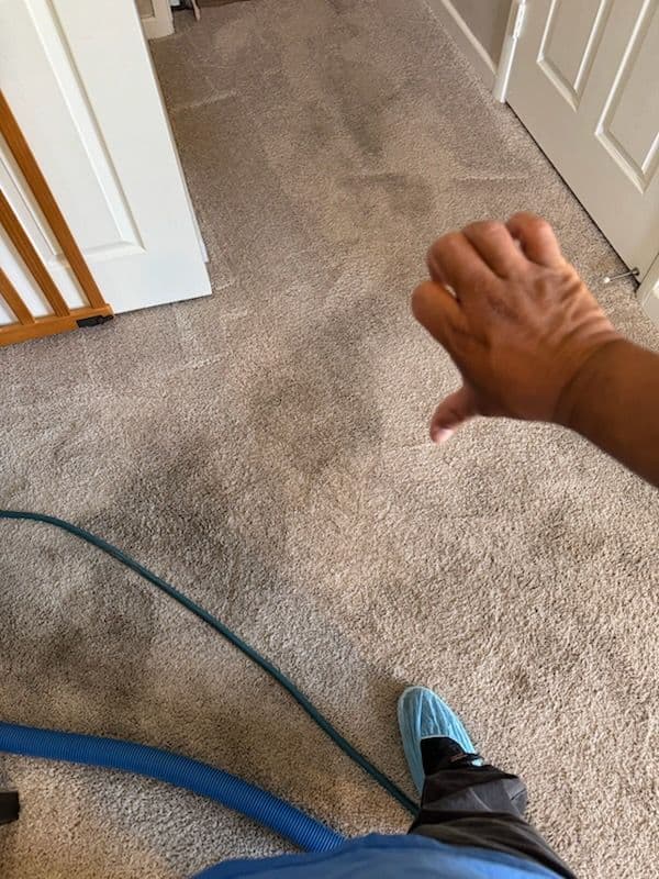 Gallery photos for Carpet Cleaning Mastery in Woodland Hills: Image #1
