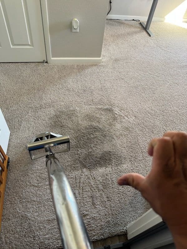 Gallery photos for Carpet Cleaning Mastery in Woodland Hills: Image #3