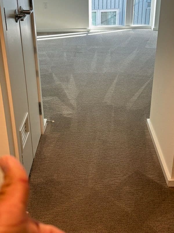 Gallery photos for Stained Carpets Transformed into Spotless Surfaces: Image #1