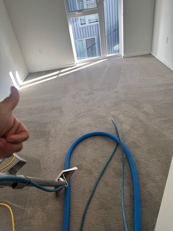 Gallery photos for Stained Carpets Transformed into Spotless Surfaces: Image #2