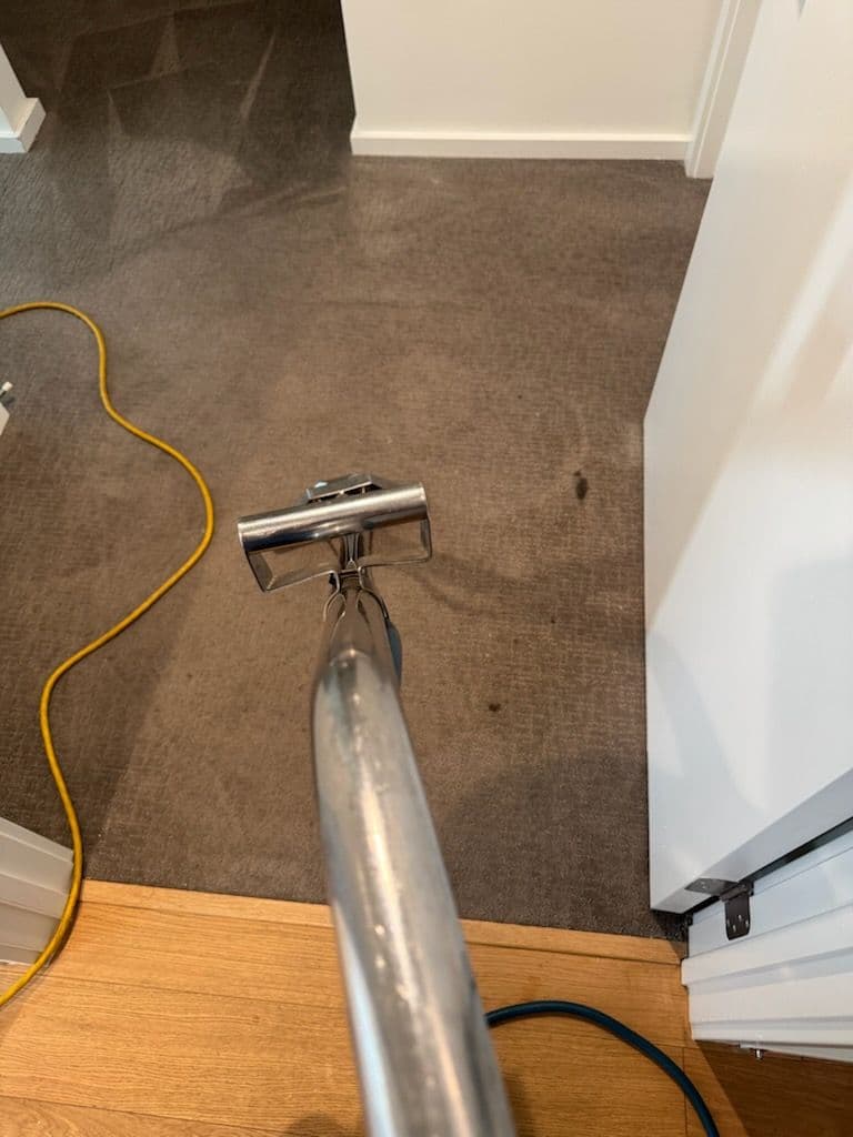 Gallery photos for Stained Carpets Transformed into Spotless Surfaces: Image #3