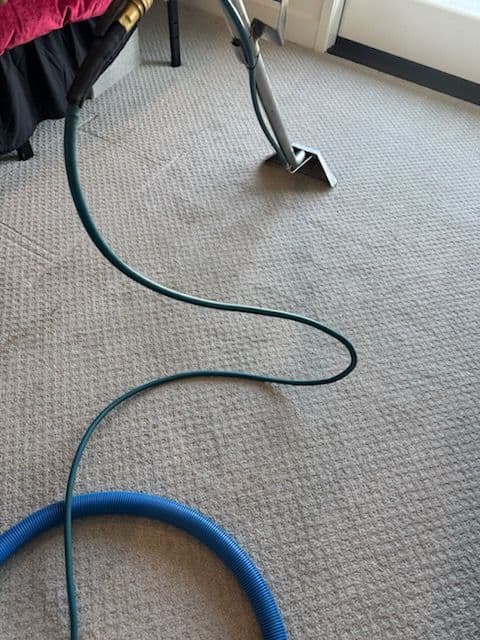 Transformed Carpets with Precision Cleaning image