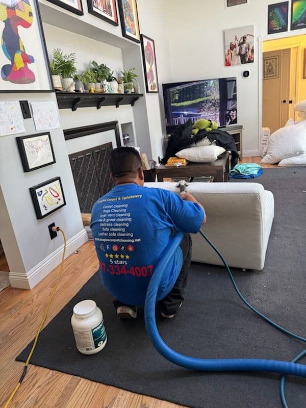 Revitalizing Sofas in Van Nuys image