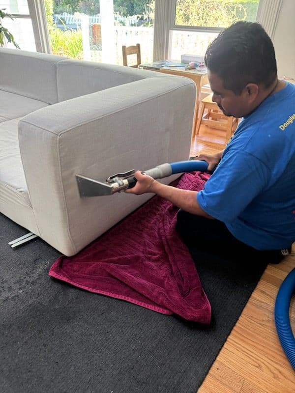 Gallery photos for Revitalizing Sofas in Van Nuys: Image #3