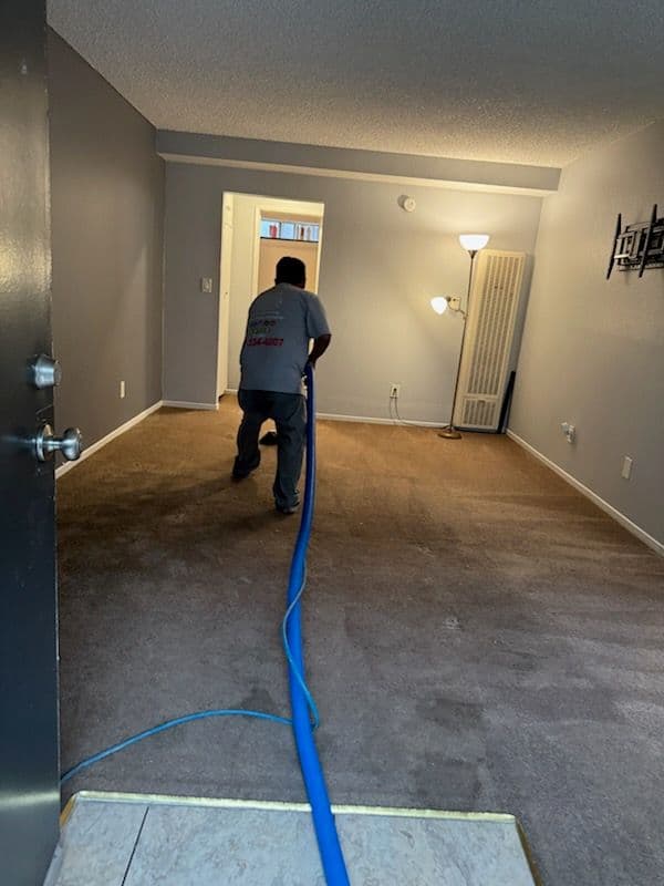 Project Professional Carpet Cleaning by Douglas in Van Nuys image