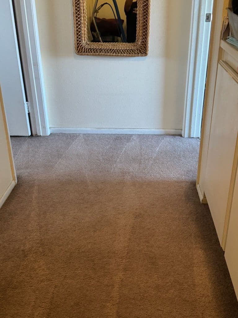 Gallery photos for Carpet Cleaning Brilliance in Thousand Oaks: Image #1