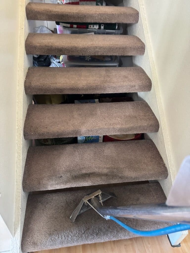 Gallery photos for Carpet Cleaning Brilliance in Thousand Oaks: Image #2