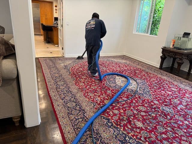 Bringing Rugs to Life with Expert Carpet Cleaning image