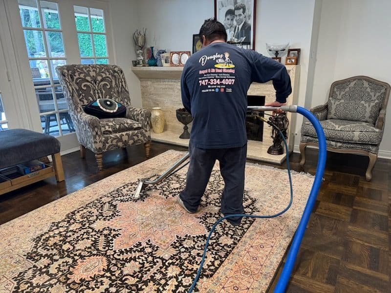 Gallery photos for Bringing Rugs to Life with Expert Carpet Cleaning: Image #1