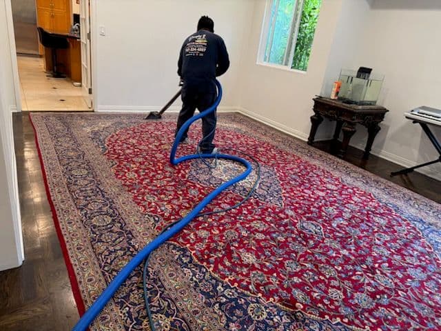 Gallery photos for Bringing Rugs to Life with Expert Carpet Cleaning: Image #2