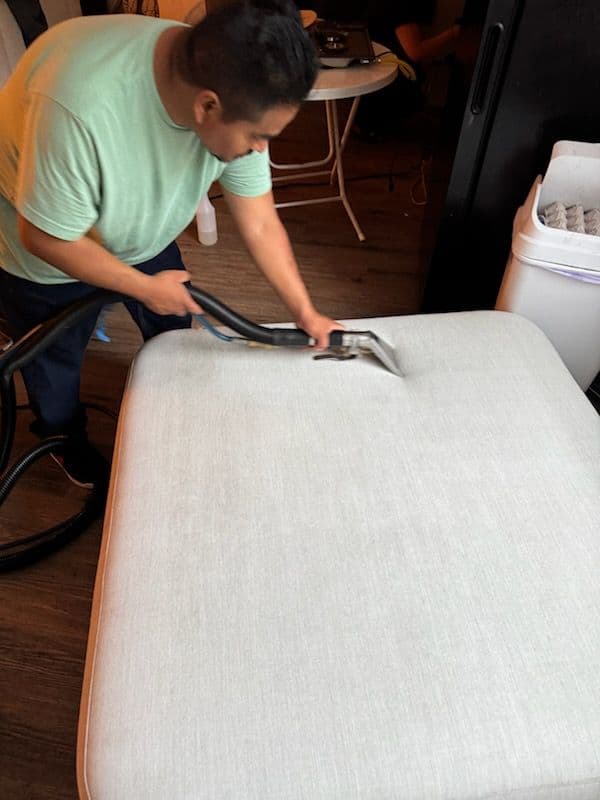 Gallery photos for Sofa Stain Removal in Santa Clarita: Image #3