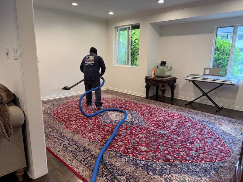 Project Exceptional Area Rug Cleaning in San Fernando Valley image