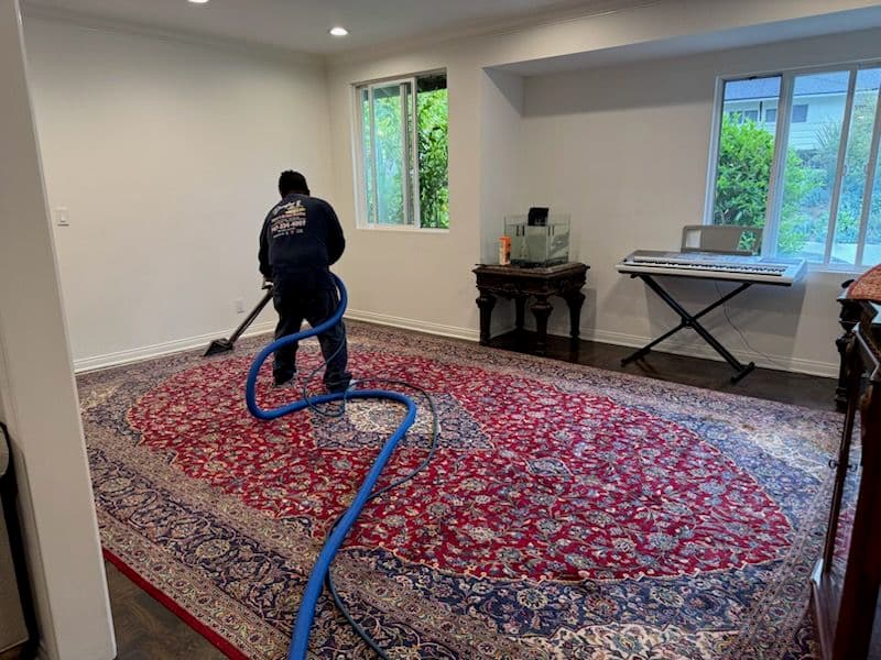 Gallery photos for Exceptional Area Rug Cleaning in San Fernando Valley: Image #2
