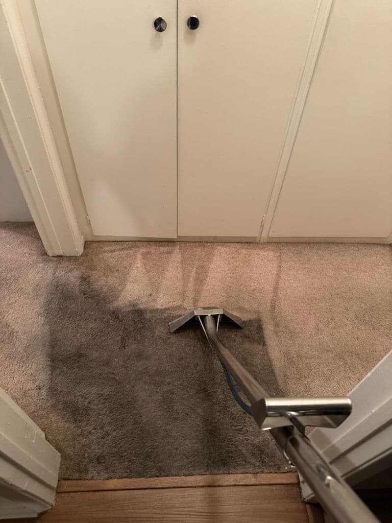 Gallery photos for Carpet Cleaning Success in Beverly Hills: Image #3