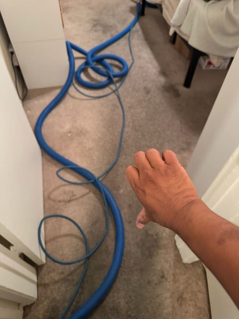 Gallery photos for Spotless Carpet Cleaning in Santa Clarita: Image #1