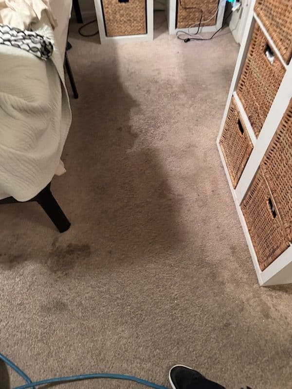 Gallery photos for Spotless Carpet Cleaning in Santa Clarita: Image #2