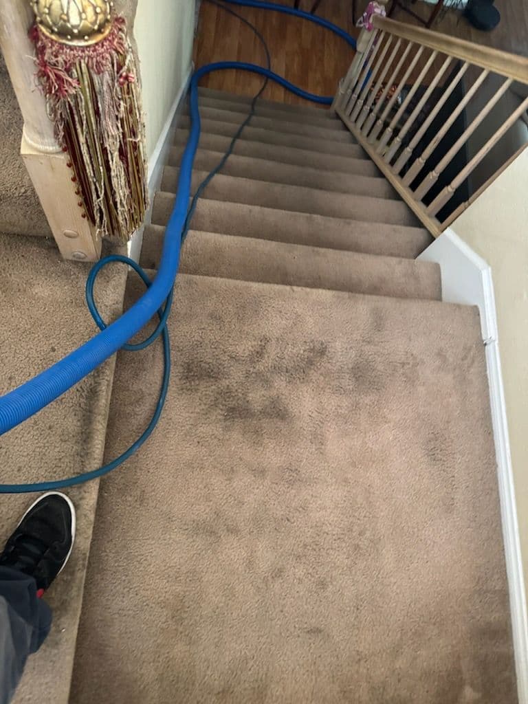 Project Stair Carpet Cleaning Magic in Long Beach image