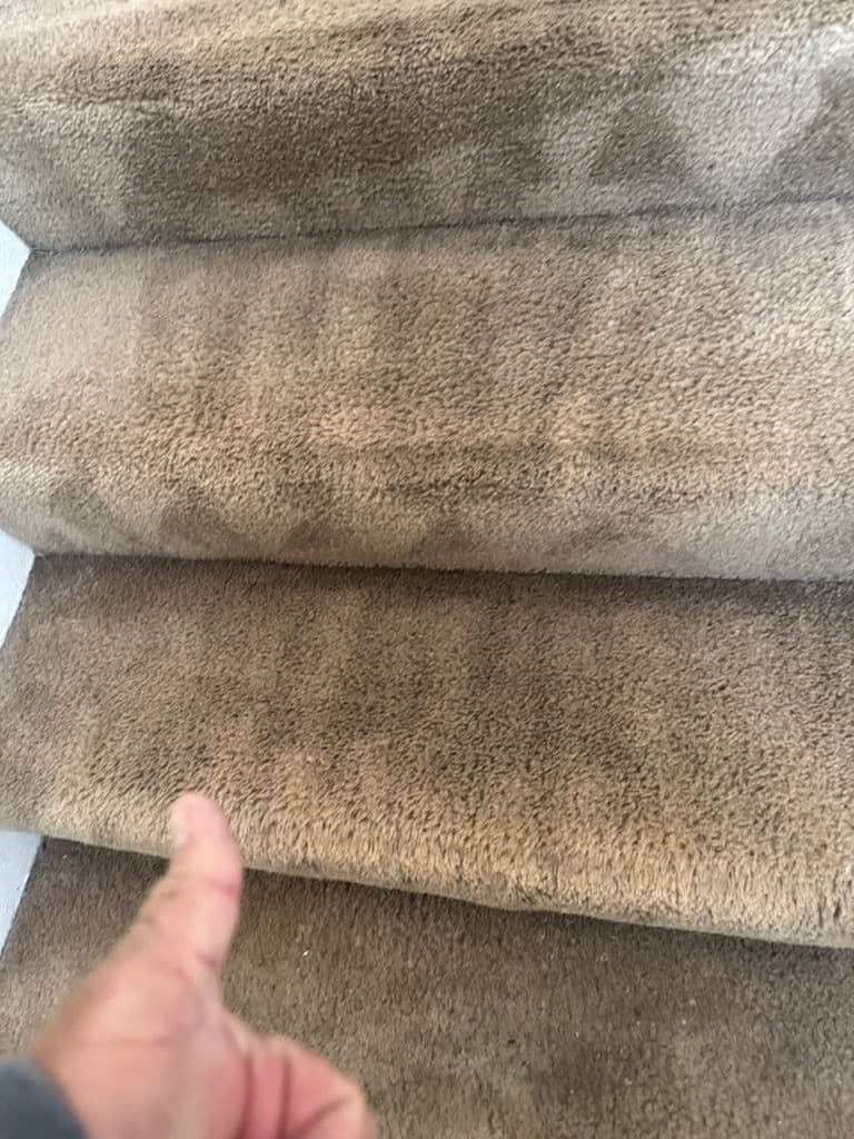Gallery photos for Stair Carpet Cleaning Magic in Long Beach: Image #1