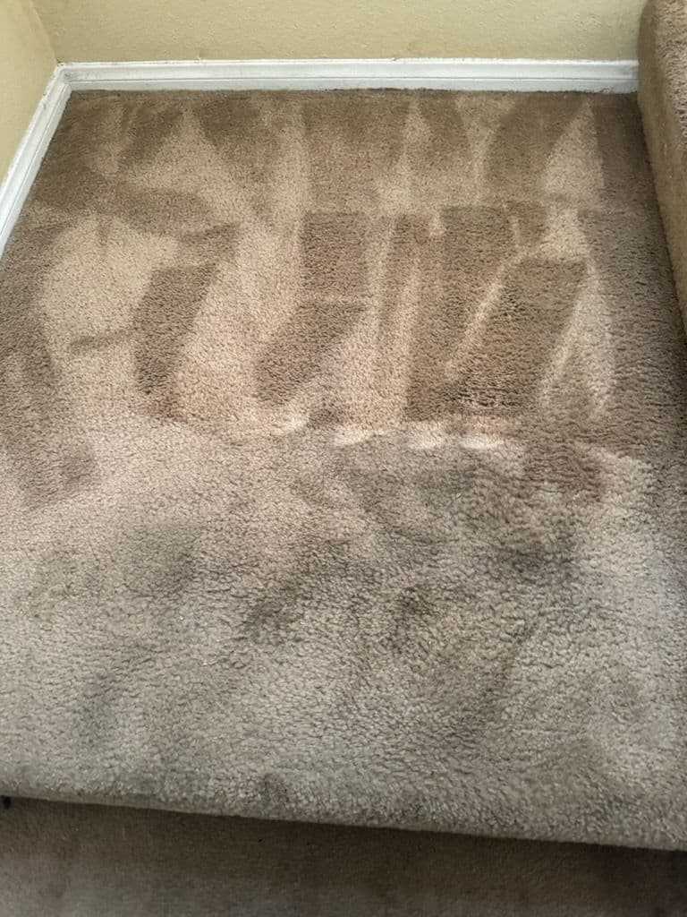 Gallery photos for Stair Carpet Cleaning Magic in Long Beach: Image #2