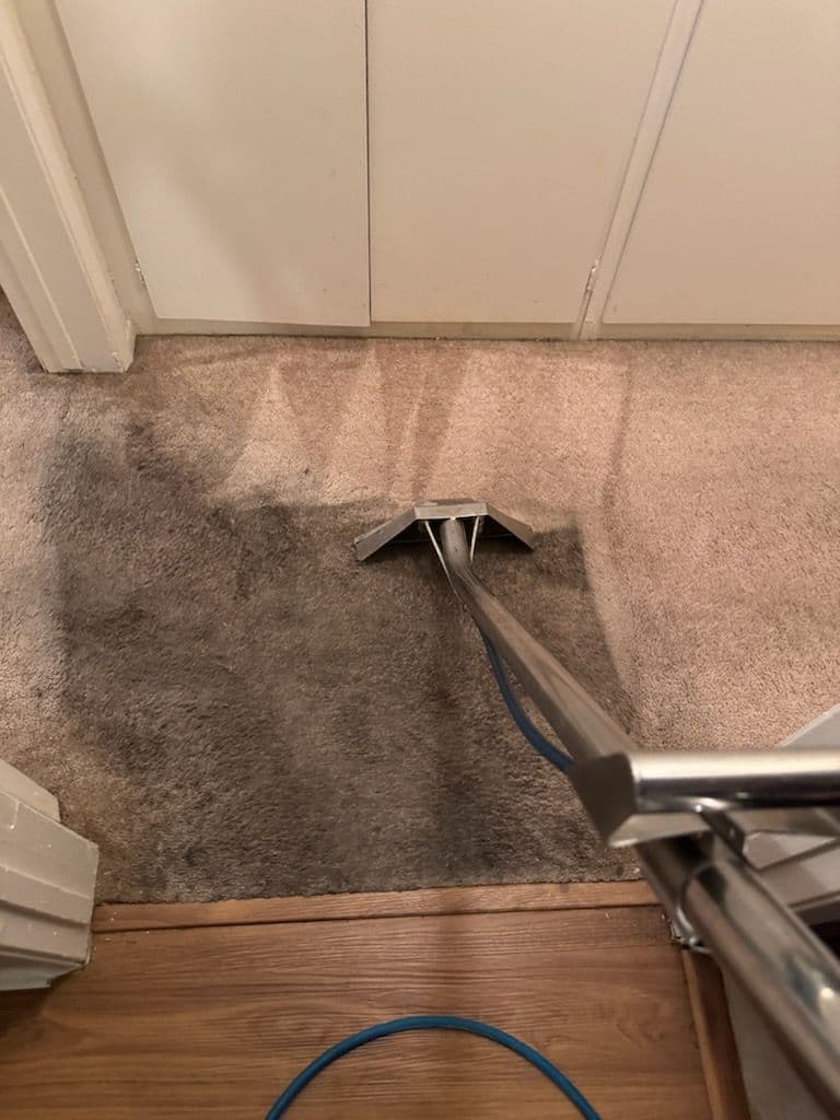 Project Carpet Makeover Magic in Long Beach image