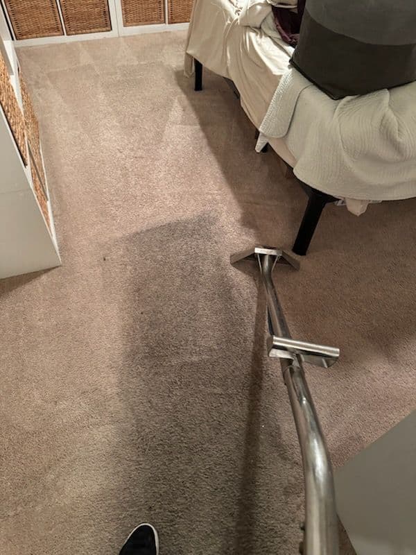 Gallery photos for Carpet Makeover Magic in Long Beach: Image #1