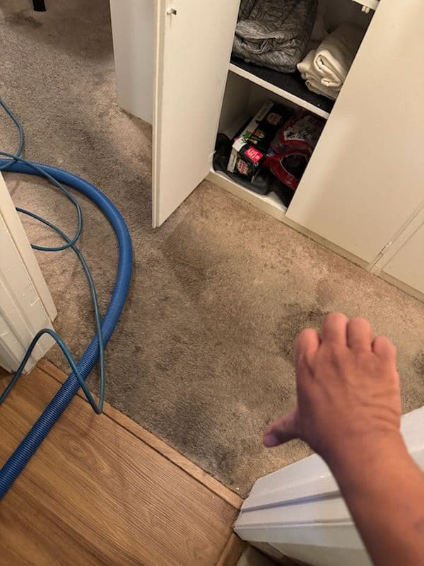 Gallery photos for Carpet Makeover Magic in Long Beach: Image #2