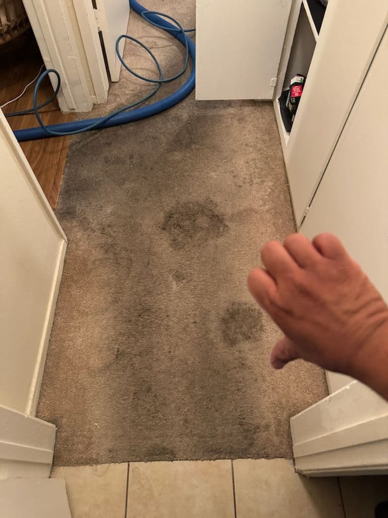 Gallery photos for Carpet Makeover Magic in Long Beach: Image #3