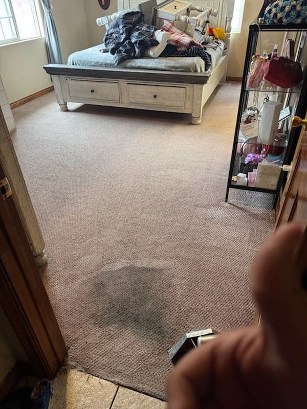 Carpet Refresh in North Hollywood