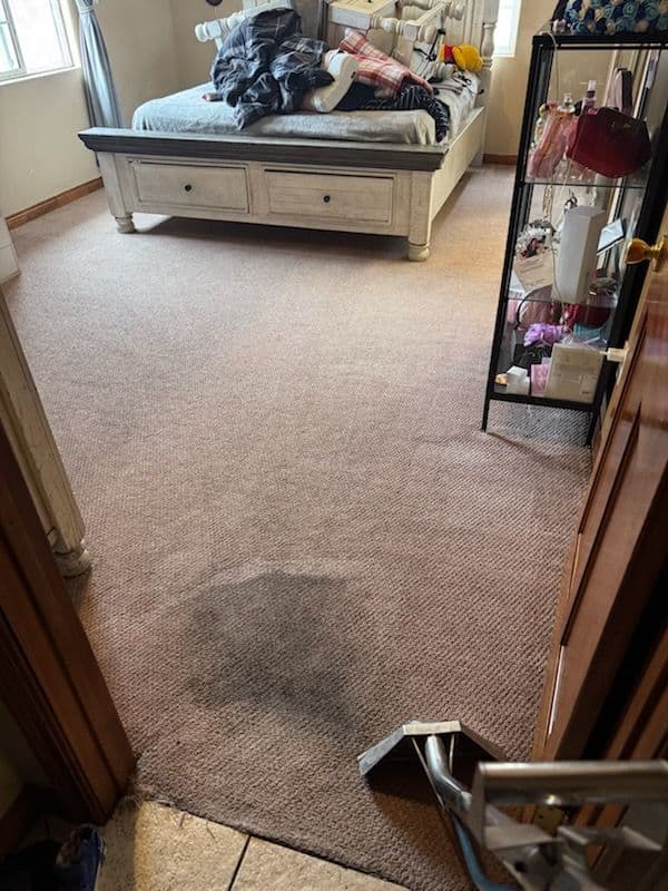 Gallery photos for Carpet Refresh in North Hollywood: Image #2