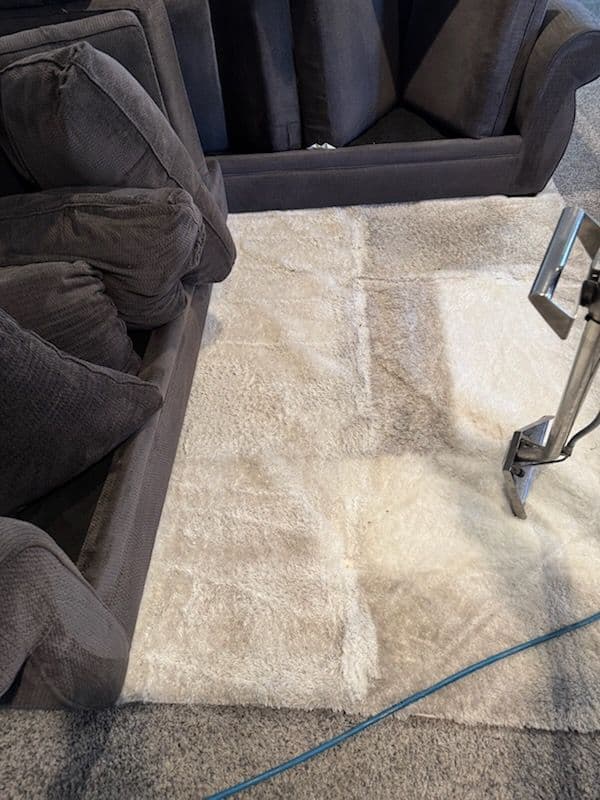 Project Rug Cleaning in Reseda - From Thumbs Down to Thumbs Up image