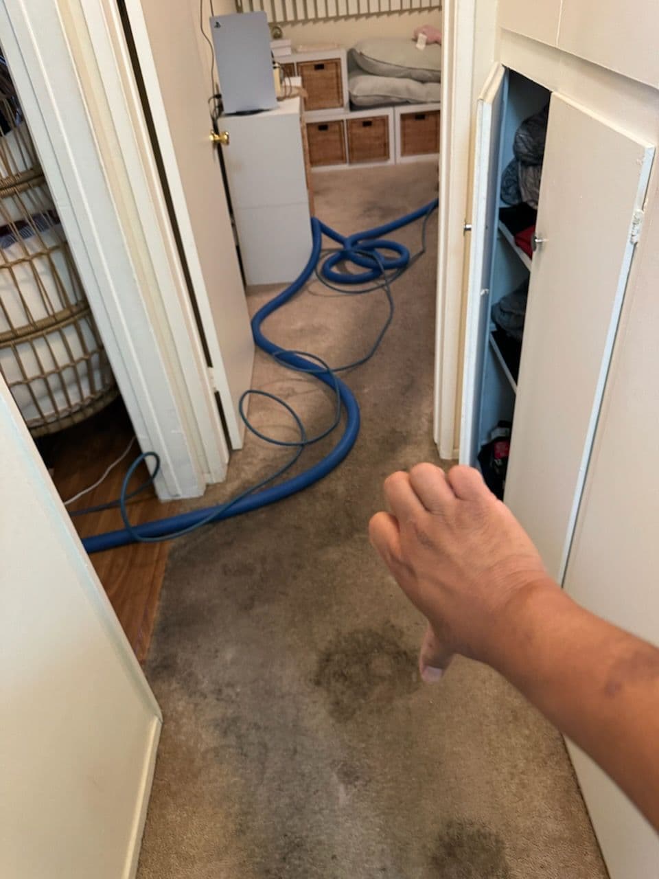 Reviving Carpets for a Fresh Start in Van Nuys image