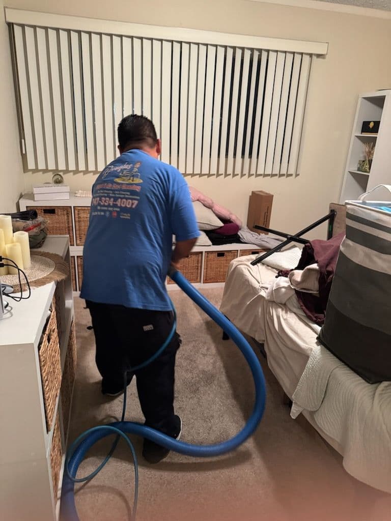 Gallery photos for Reviving Carpets for a Fresh Start in Van Nuys: Image #1