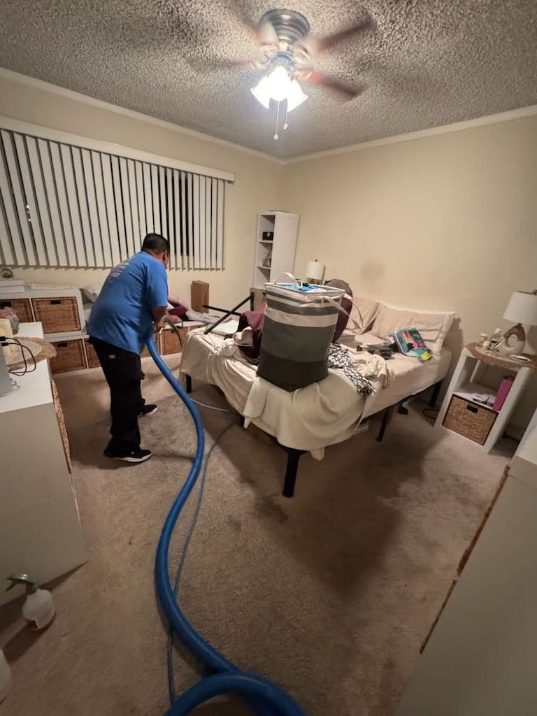 Gallery photos for Reviving Carpets for a Fresh Start in Van Nuys: Image #3